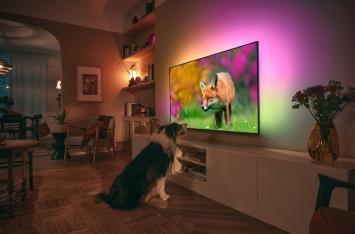 Philips 55PUS8848 4K TV (2023) AMBILIGHT